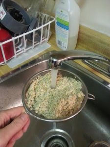 fermentingoatgroats2