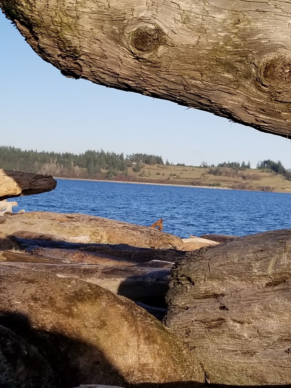 20190107_150706 - Copy